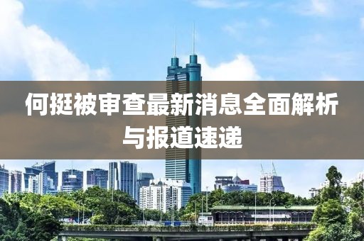 何挺被審查最新消息全面解析與報(bào)道速遞