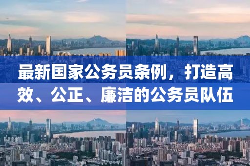 最新國家公務(wù)員條例，打造高效、公正、廉潔的公務(wù)員隊(duì)伍