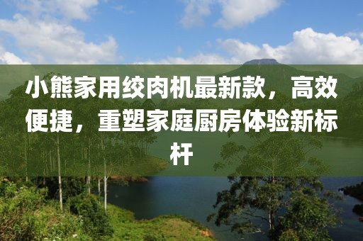 小熊家用絞肉機(jī)最新款，高效便捷，重塑家庭廚房體驗(yàn)新標(biāo)桿