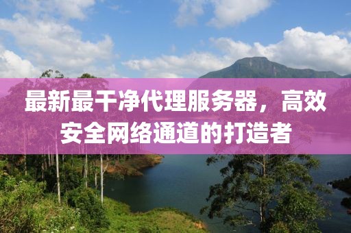 最新最干凈代理服務(wù)器，高效安全網(wǎng)絡(luò)通道的打造者