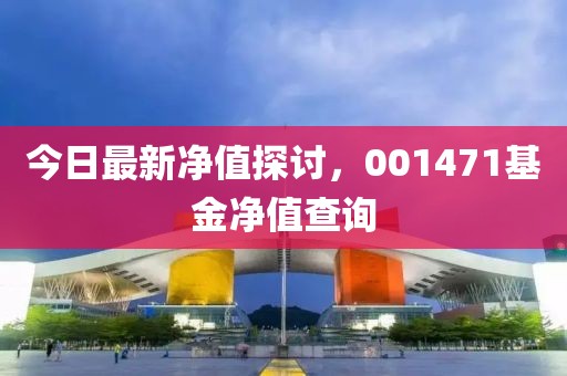 今日最新凈值探討，001471基金凈值查詢(xún)