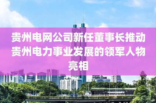 貴州電網(wǎng)公司新任董事長推動貴州電力事業(yè)發(fā)展的領(lǐng)軍人物亮相