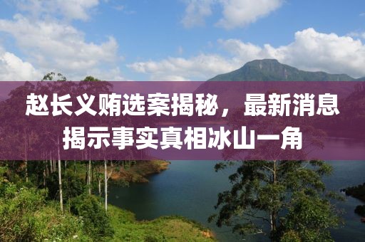 趙長義賄選案揭秘，最新消息揭示事實真相冰山一角