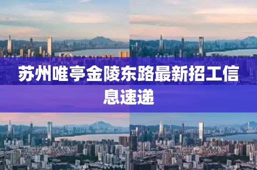 蘇州唯亭金陵?yáng)|路最新招工信息速遞