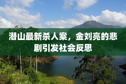 潛山最新殺人案，金劉亮的悲劇引發(fā)社會(huì)反思