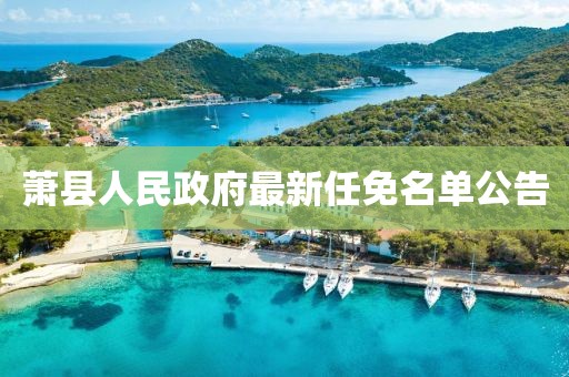 蕭縣人民政府最新任免名單公告