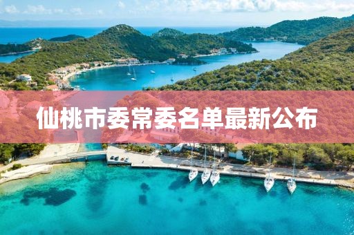 仙桃市委常委名單最新公布