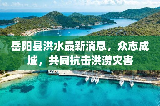 岳陽縣洪水最新消息，眾志成城，共同抗擊洪澇災(zāi)害