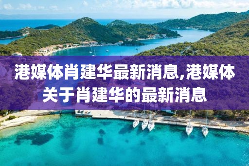 港媒體肖建華最新消息,港媒體關(guān)于肖建華的最新消息