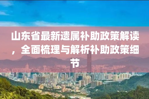 山東省最新遺屬補助政策解讀，全面梳理與解析補助政策細節(jié)