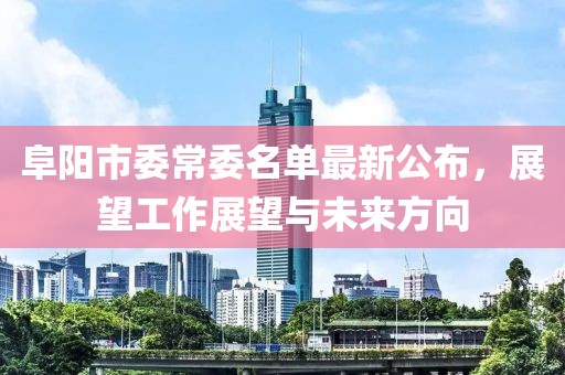 阜陽市委常委名單最新公布，展望工作展望與未來方向