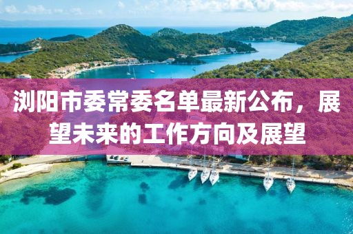 瀏陽市委常委名單最新公布，展望未來的工作方向及展望