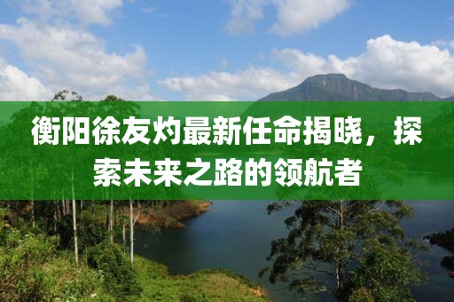 衡陽徐友灼最新任命揭曉，探索未來之路的領(lǐng)航者