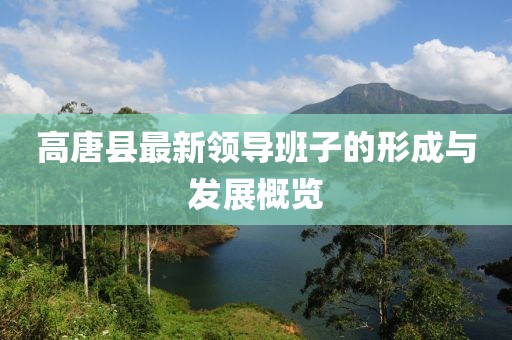 高唐縣最新領(lǐng)導(dǎo)班子的形成與發(fā)展概覽