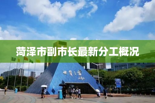 菏澤市副市長最新分工概況