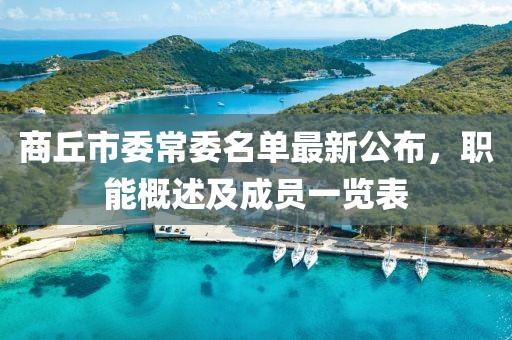 商丘市委常委名單最新公布，職能概述及成員一覽表