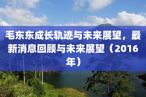 毛東東成長軌跡與未來展望，最新消息回顧與未來展望（2016年）