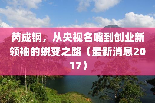 芮成鋼，從央視名嘴到創(chuàng)業(yè)新領(lǐng)袖的蛻變之路（最新消息2017）