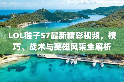 LOL猴子S7最新精彩視頻，技巧、戰(zhàn)術(shù)與英雄風采全解析