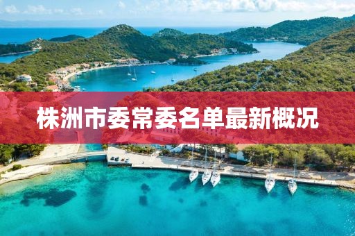 株洲市委常委名單最新概況