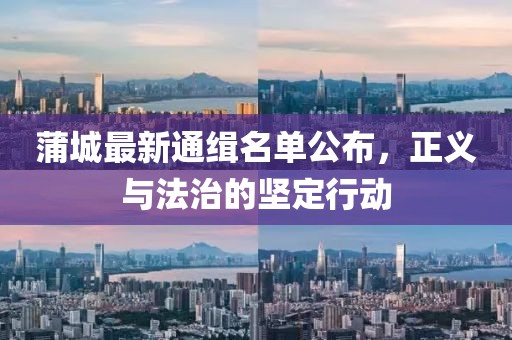 蒲城最新通緝名單公布，正義與法治的堅(jiān)定行動(dòng)