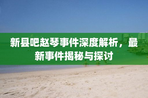 新縣吧趙琴事件深度解析，最新事件揭秘與探討