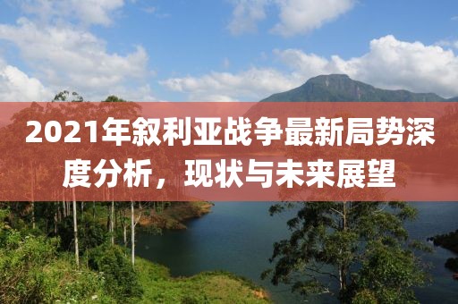 2021年敘利亞戰(zhàn)爭最新局勢深度分析，現(xiàn)狀與未來展望