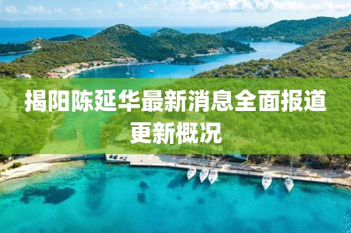 揭陽陳延華最新消息全面報道更新概況