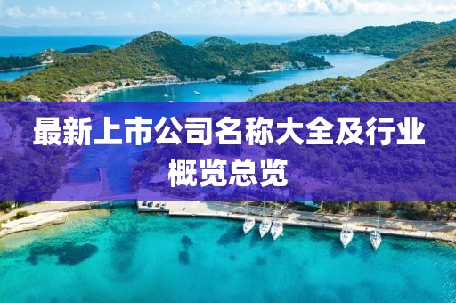 最新上市公司名稱大全及行業(yè)概覽總覽