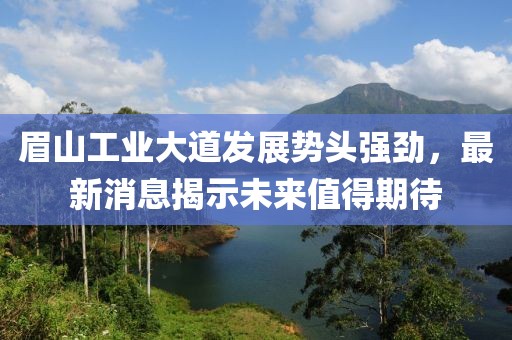 眉山工業(yè)大道發(fā)展勢(shì)頭強(qiáng)勁，最新消息揭示未來值得期待