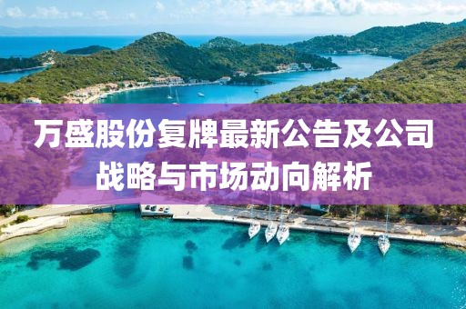 萬盛股份復(fù)牌最新公告及公司戰(zhàn)略與市場動向解析