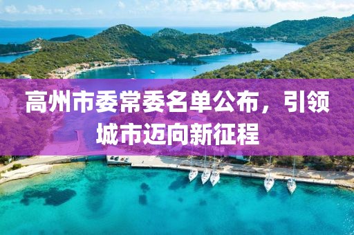 高州市委常委名單公布，引領(lǐng)城市邁向新征程