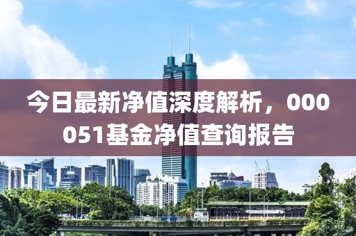 今日最新凈值深度解析，000051基金凈值查詢報(bào)告