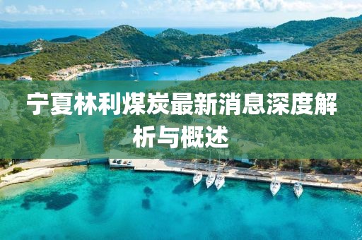 寧夏林利煤炭最新消息深度解析與概述