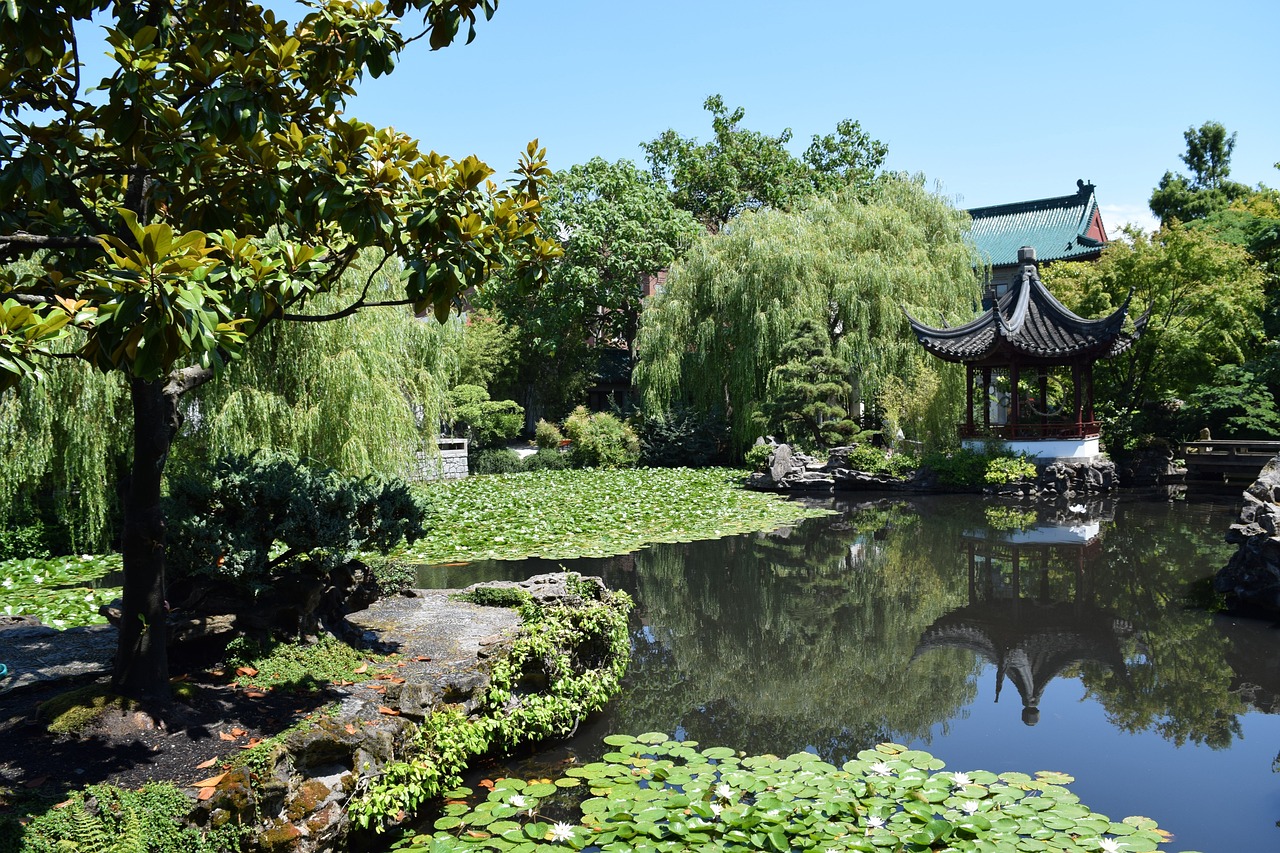 太東公園上城，活力與寧靜交織的城市綠洲，最新評價(jià)全解析