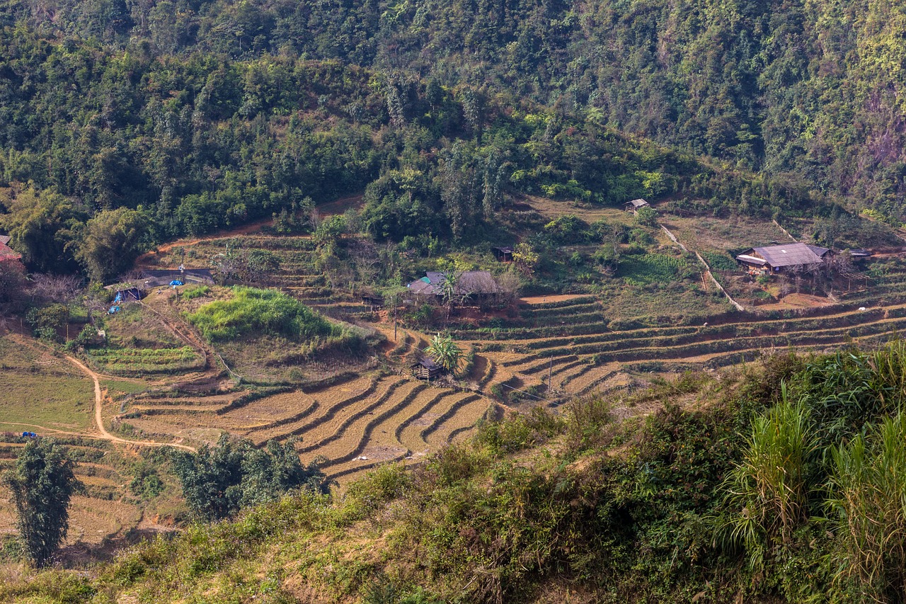 符離鎮(zhèn)最新規(guī)劃圖揭曉，展望繁榮未來(lái)，符離鎮(zhèn)2016規(guī)劃展望