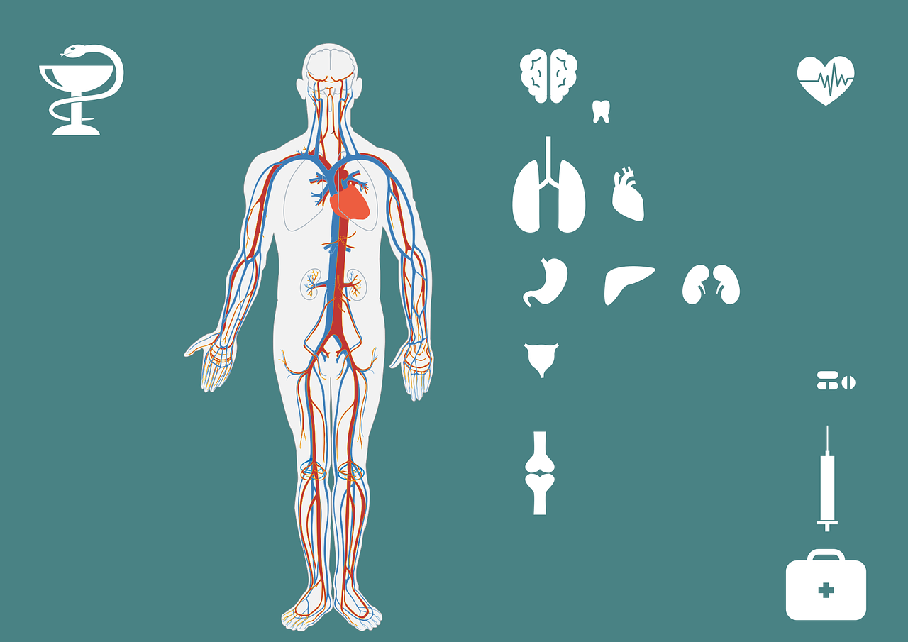 急診搶救流程圖優(yōu)化，提升搶救成功率與急救服務(wù)質(zhì)量