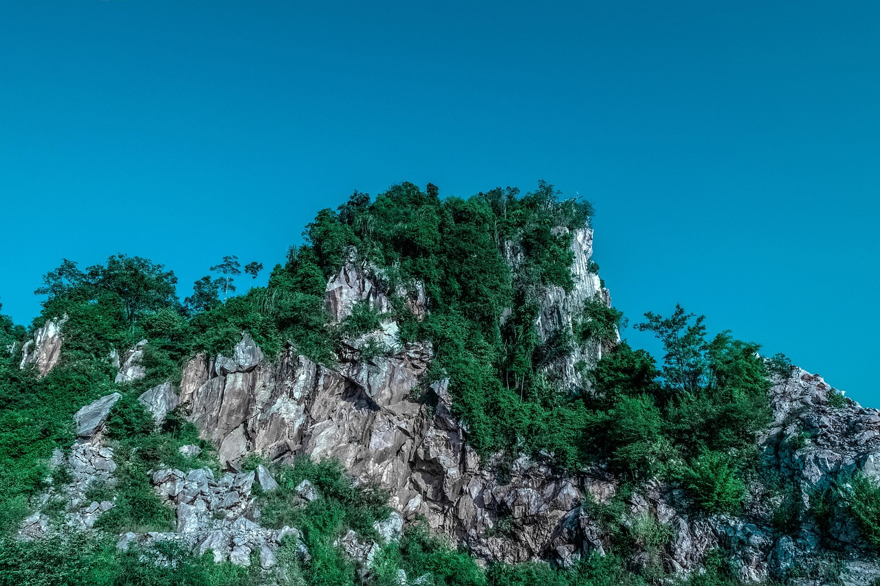 傳藝科技股票最新消息綜述，掌握最新動態(tài)，洞悉股市走向